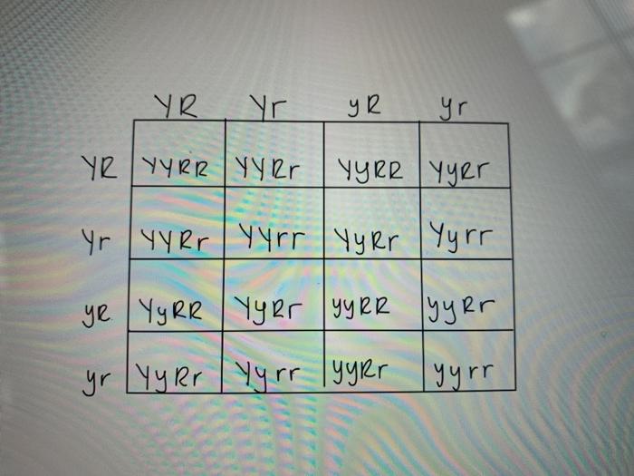 Solved YR Yr ур yr ур Ууре УУlr | Ууер | ЧуLr Уr |yyer | | Chegg.com