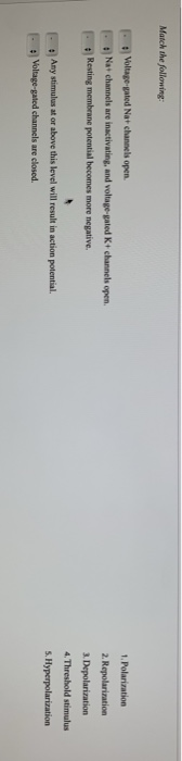 Solved Match the following: Voltage-gated Na+ channels open. | Chegg.com