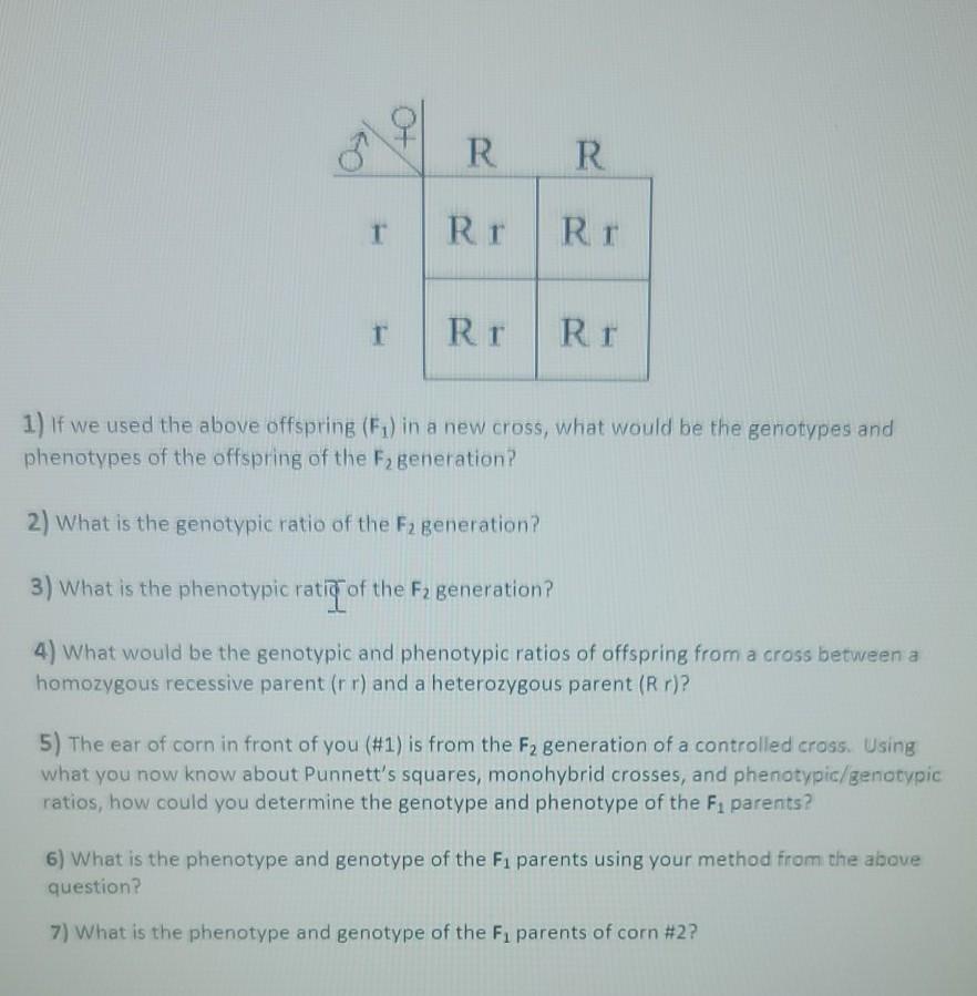 Solved The formation of the Figeneration is shown in the | Chegg.com