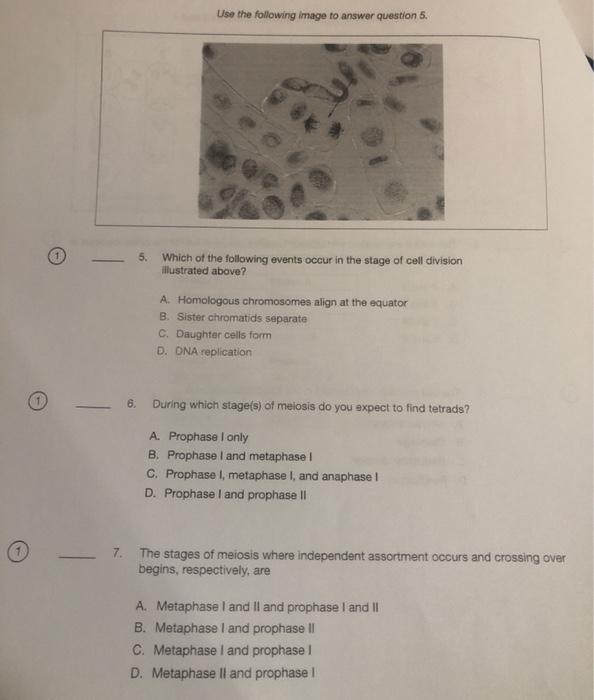 Solved Module : Cell Division: The Process of Mitosis and | Chegg.com