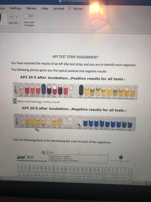 Solved APIAS ces Mailings Review View Acrobat Tell me DER