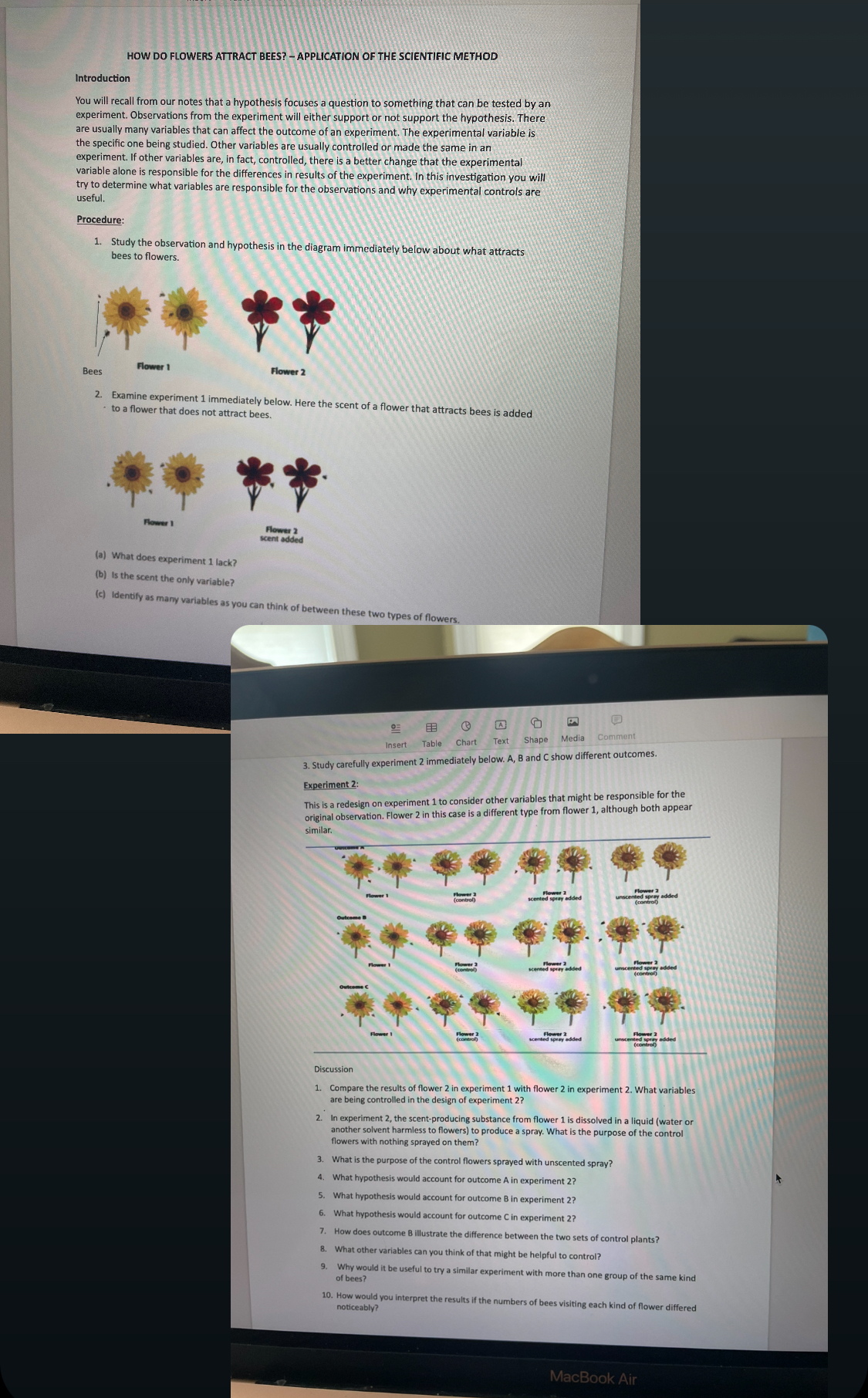 Solved HOW DO FLOWERS ATTRACT BEES? ﻿APPLICATION OF THE