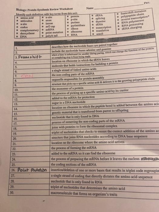 Solved Ter. Biology: Protein Synthesis Review Worksheet Name | Chegg.com
