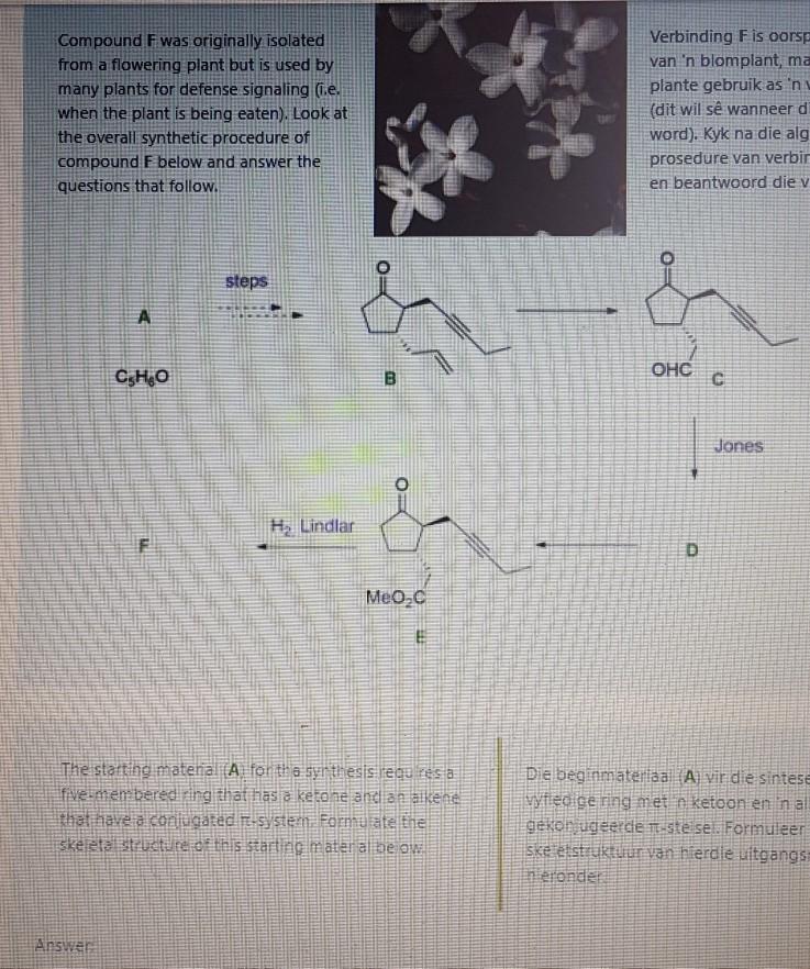 Solved Compound F was originally isolated from a flowering | Chegg.com