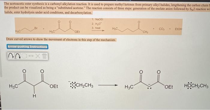 Solved The Acetoacetic Ester Synthesis Is A Carbonyl 2016