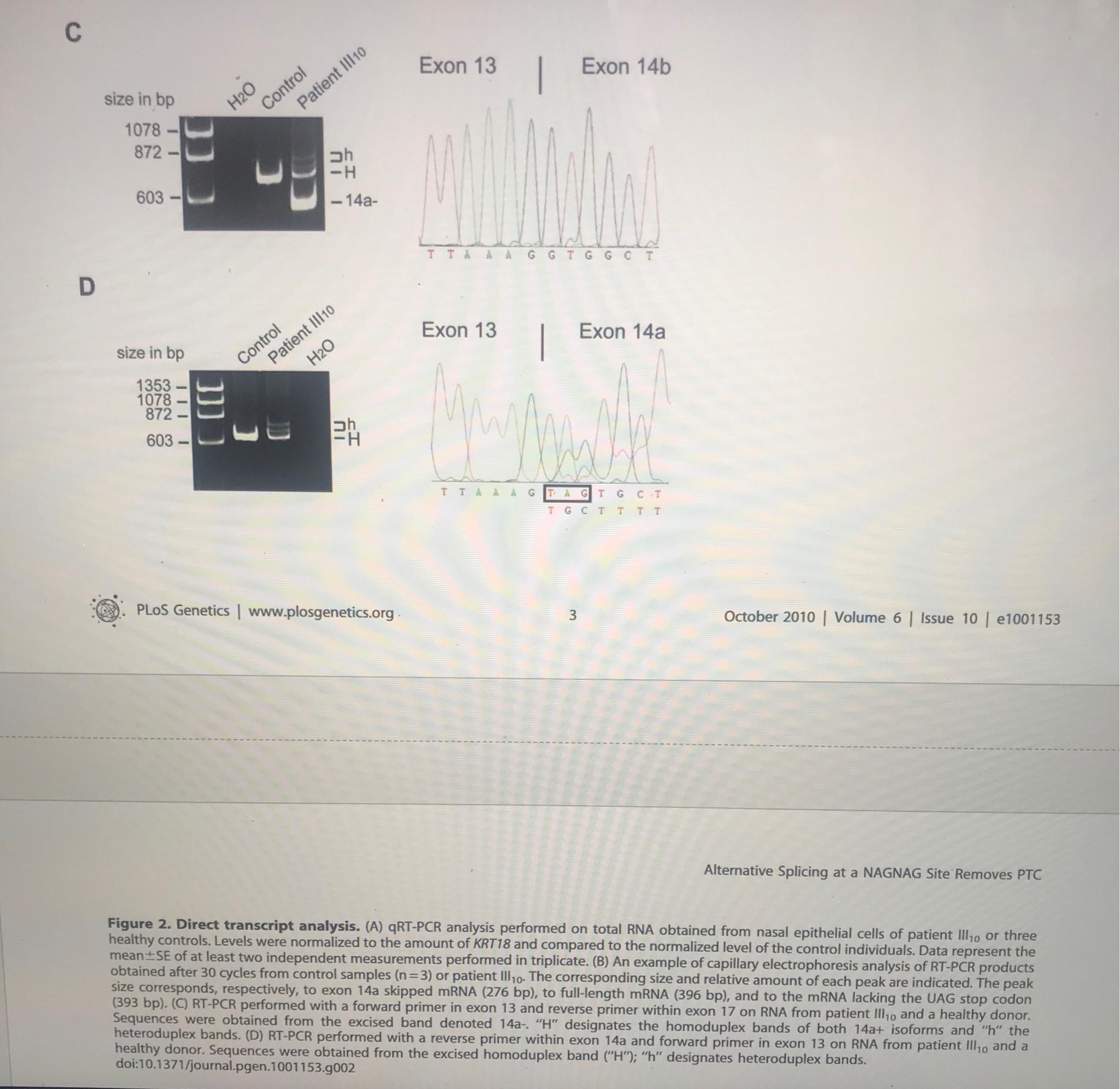 What is the difference between figures 2C and 2D? | Chegg.com