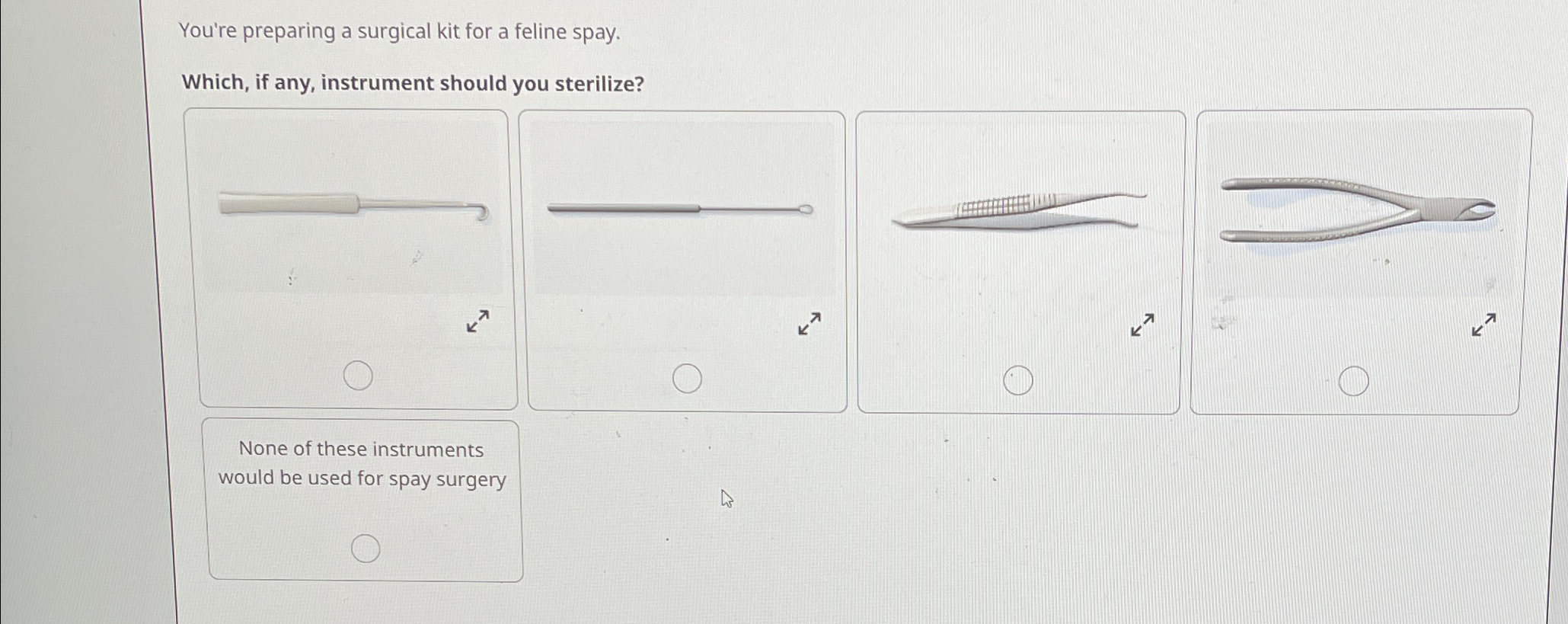 Solved You&rsquo;re preparing a surgical kit for a feline | Chegg.com