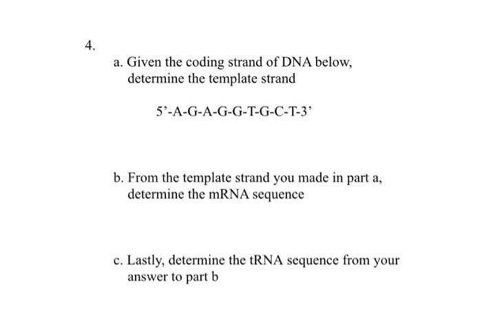 Solved 1. Label the various parts of the following structure | Chegg.com