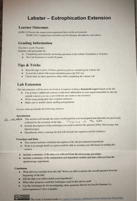 discussion lab report basic techniques in microscopy