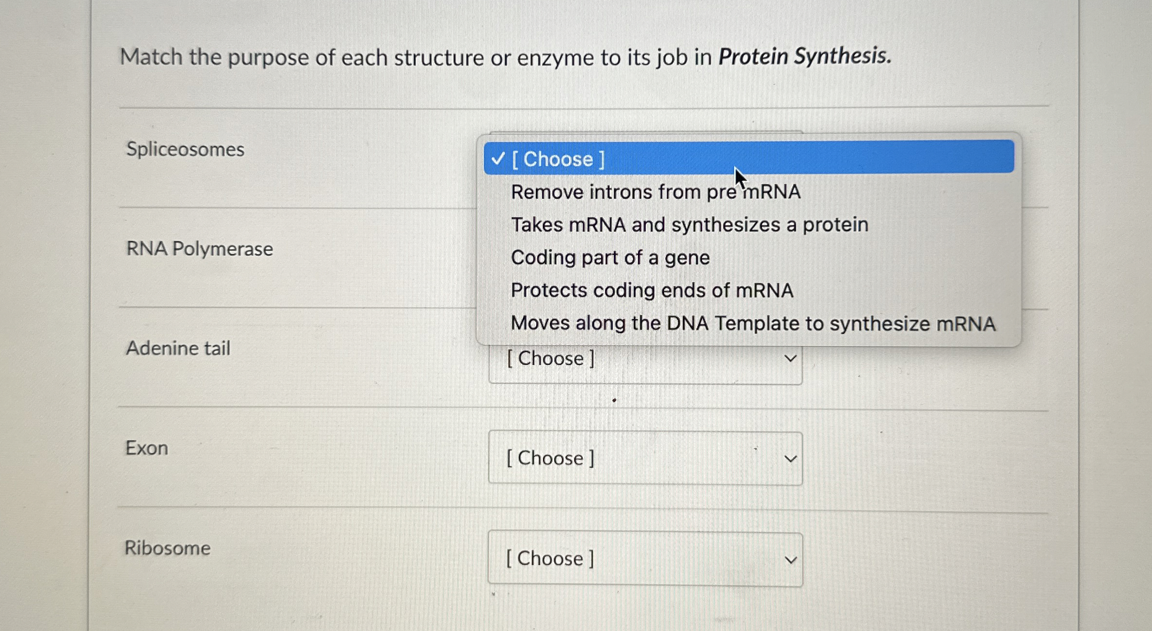 Solved Match the purpose of each structure or enzyme to its