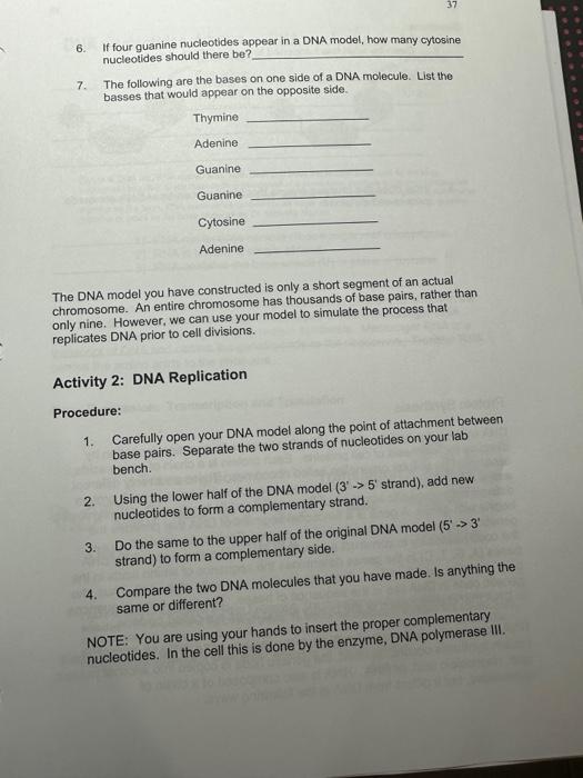 Solved Activity 1: The Structure of a DNA Molecule | Chegg.com