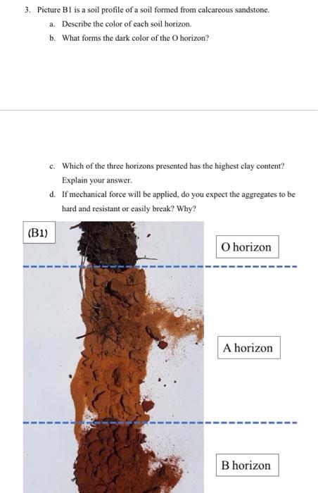 Solved 3. Picture Bl is a soil profile of a soil formed from | Chegg.com