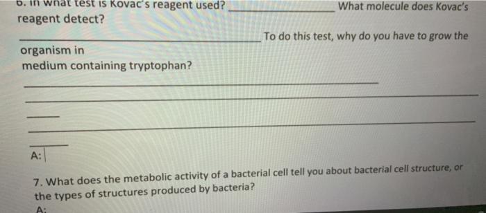 Solved What molecule does Kovac's b. in wnat test is Kovac's | Chegg.com