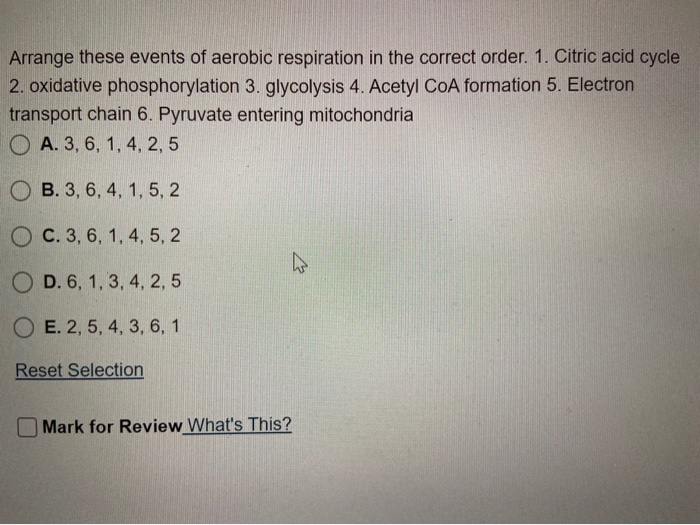 Solved Arrange these events of aerobic respiration in the | Chegg.com