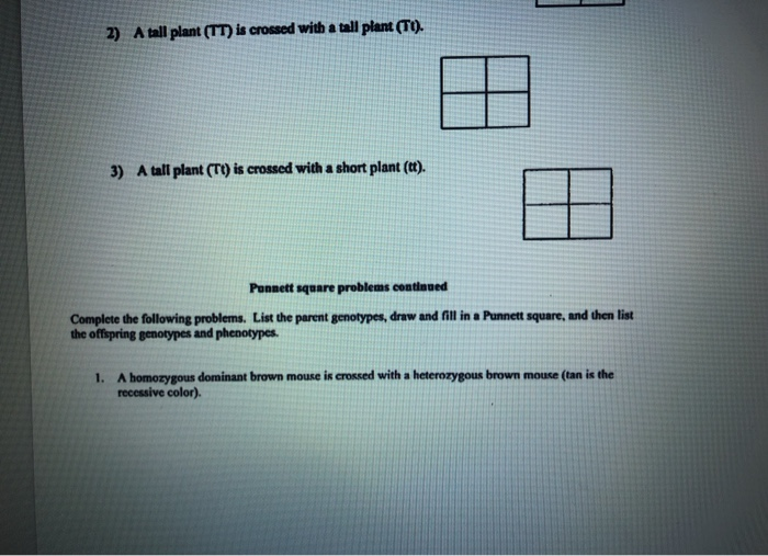 Solved Complete the following monoluybrid crosses: draw a | Chegg.com