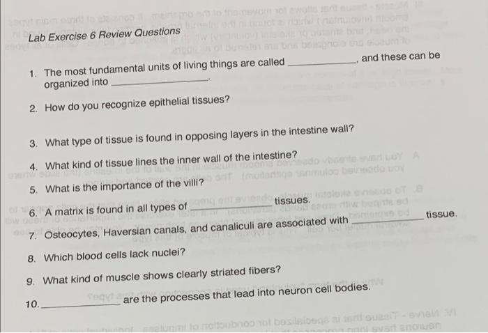 Solved Lab Exercise 6 Review Questions and these can be 1. | Chegg.com