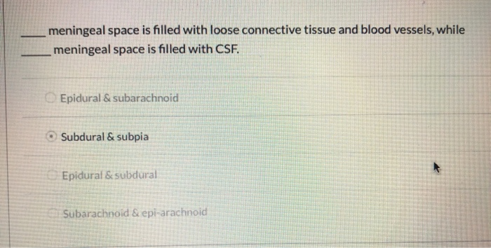 Solved From deep to superficial, what is the correct order | Chegg.com