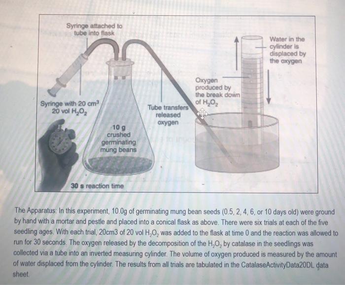 Solved Syringe attached to tube into flask Water in the | Chegg.com