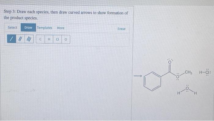Solved Examination of the Fischer esterification mechanism | Chegg.com