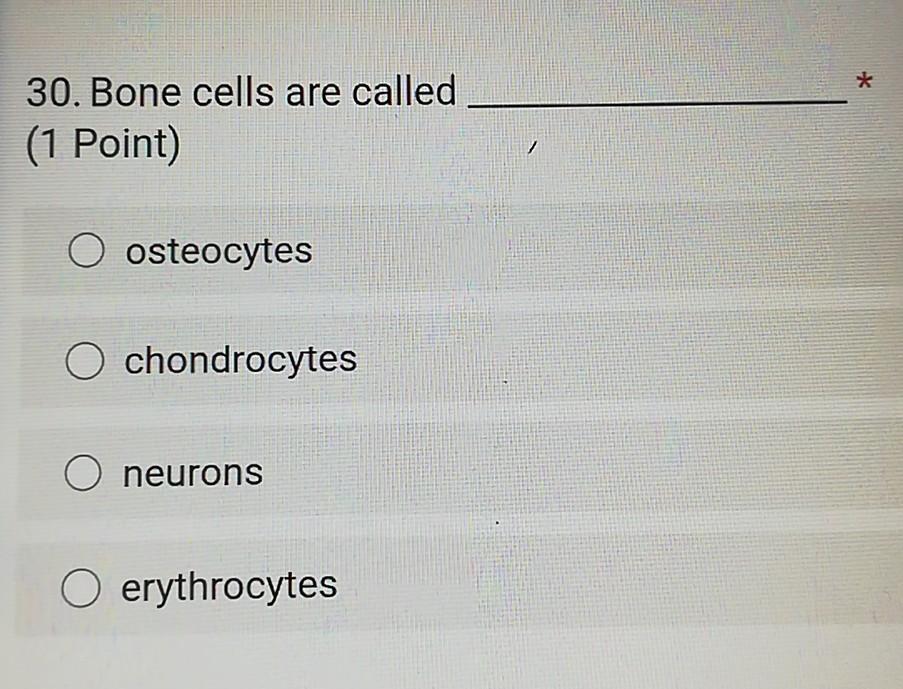 Solved * 30. Bone cells are called (1 Point) 7 O osteocytes | Chegg.com