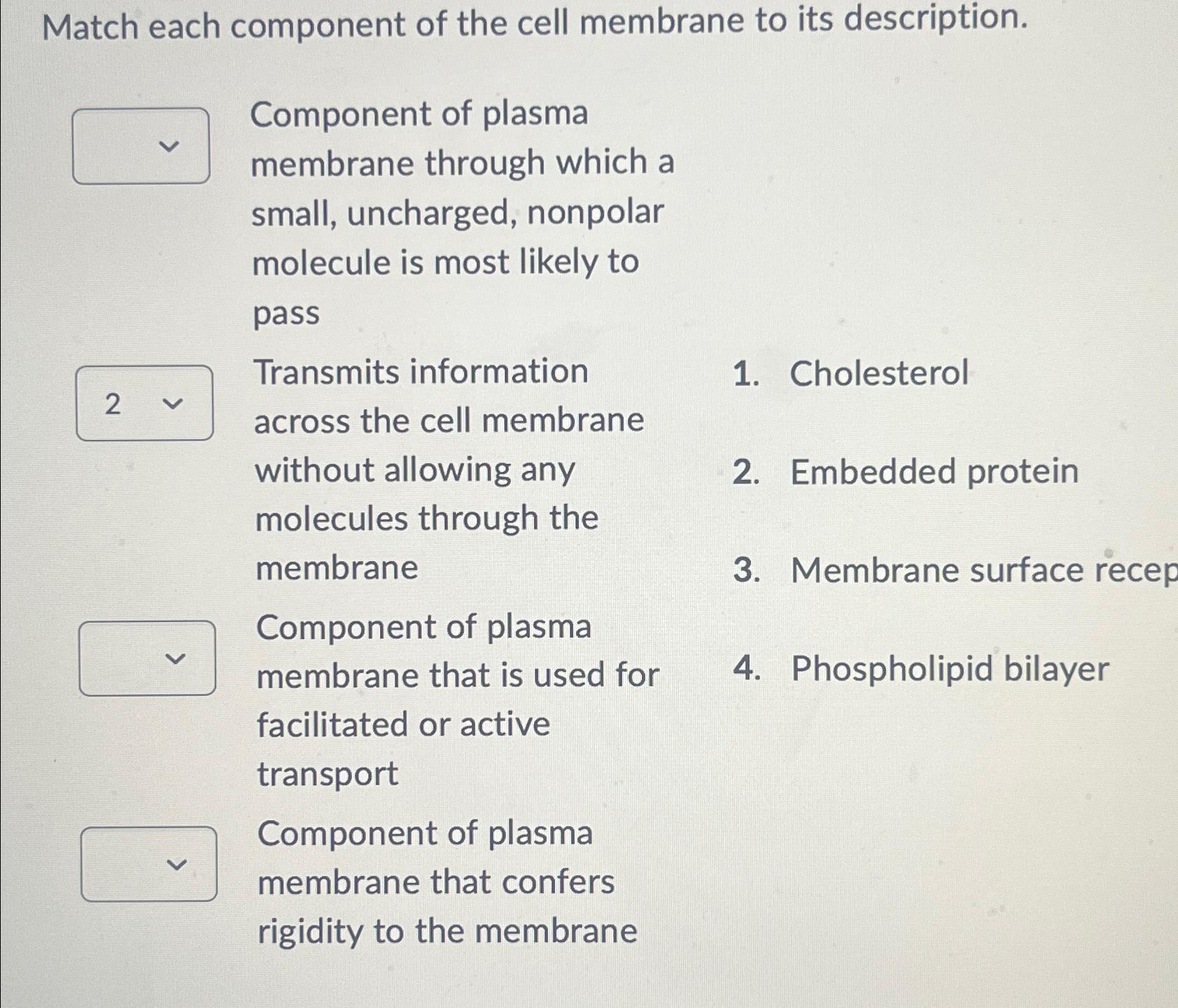 Solved Match each component of the cell membrane to its | Chegg.com