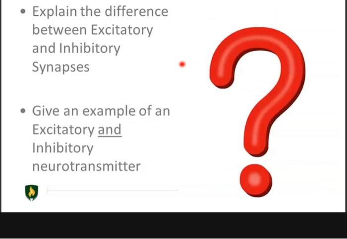 Solved Explain the difference between Excitatory and | Chegg.com