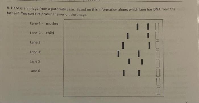 Solved 8. Here is an image from a paternity case. Based on | Chegg.com