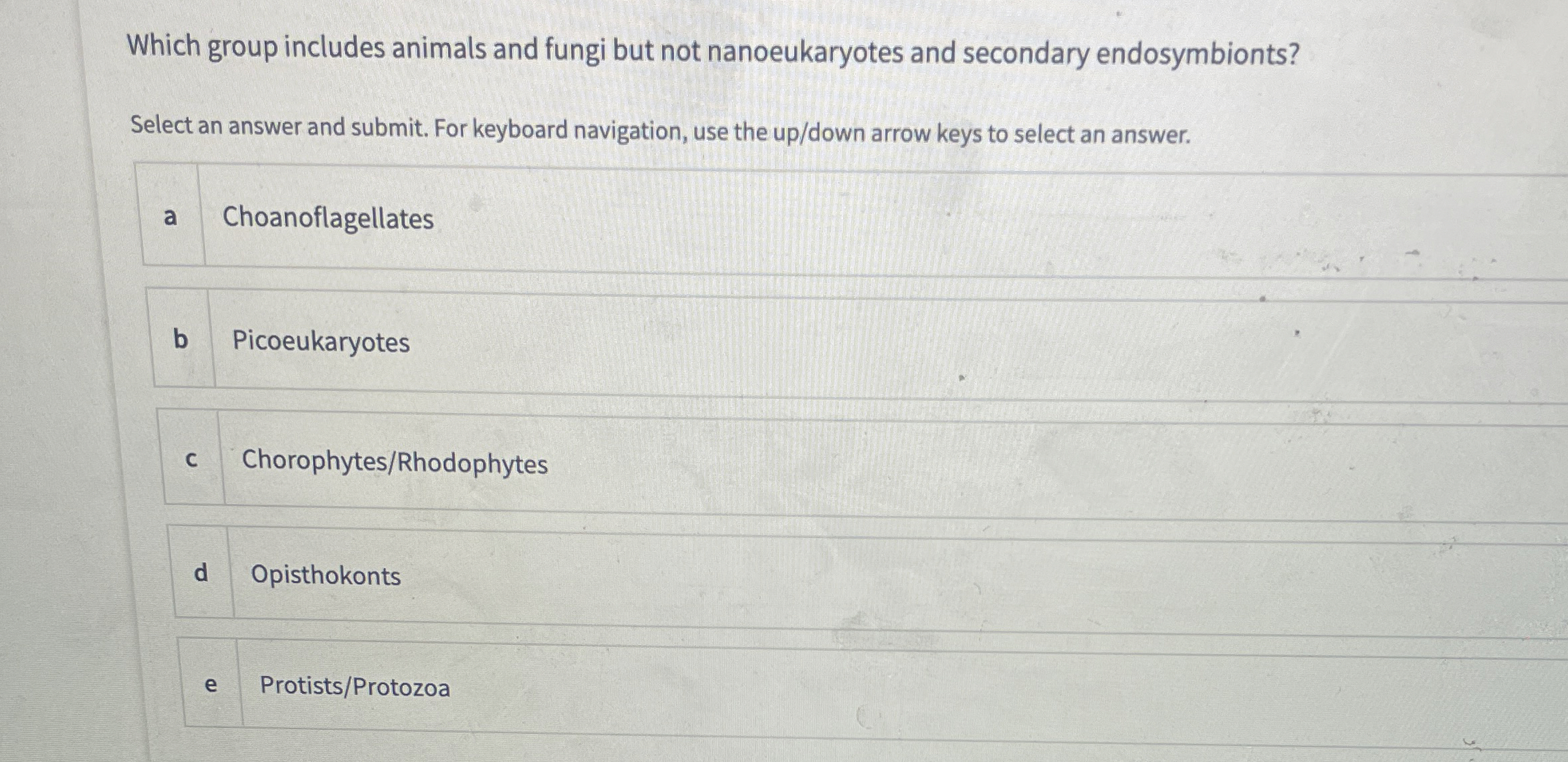 Solved Which group includes animals and fungi but not