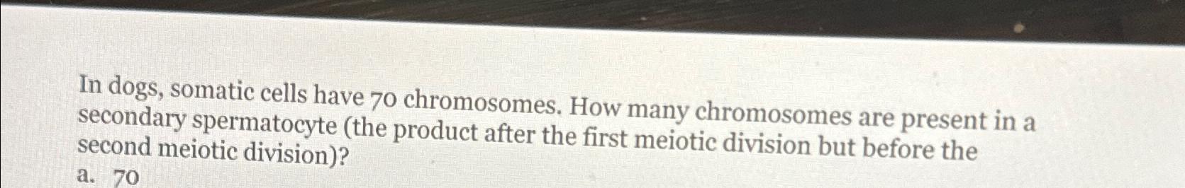 Solved In dogs, somatic cells have 70 ﻿chromosomes. How many | Chegg.com