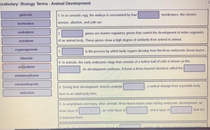 Download Solved Cabulary Biology Terms Animal Development Gastr Chegg Com