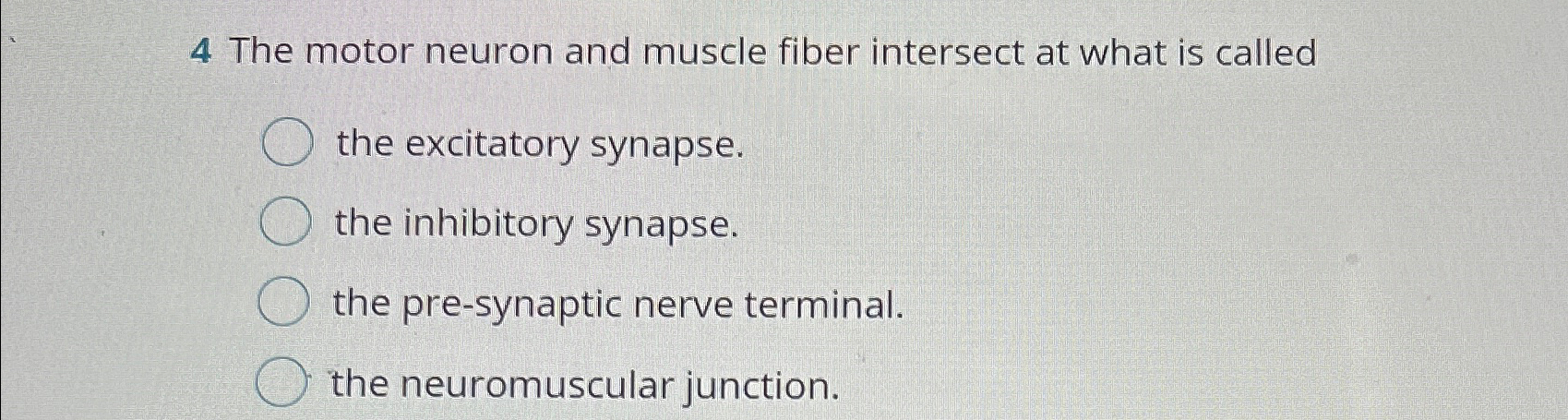 Solved 4 ﻿The motor neuron and muscle fiber intersect at | Chegg.com