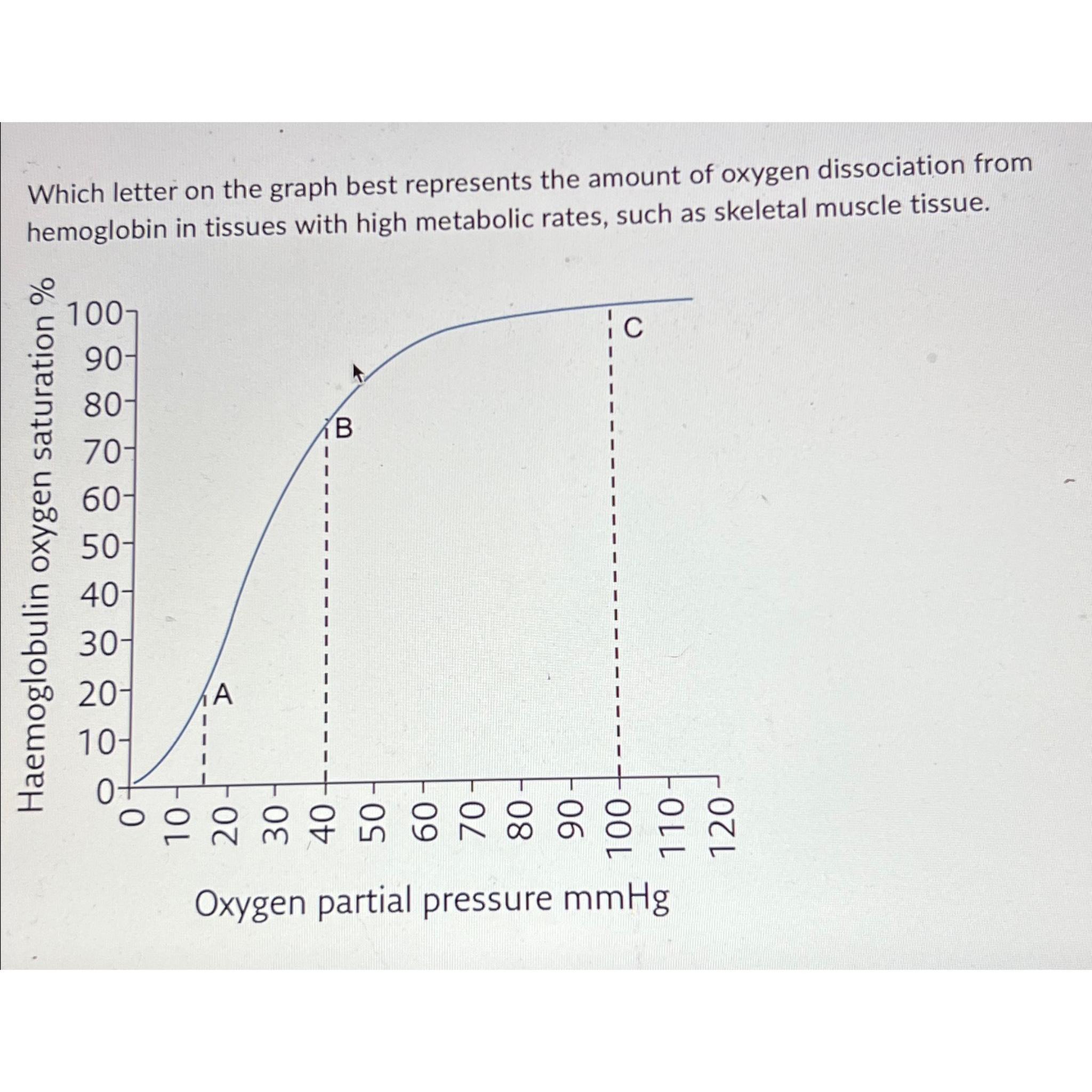 Solved Which Letter On The Graph Best Represents The Amount | Chegg.com