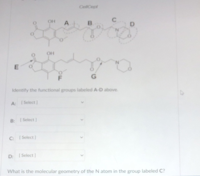 Solved Color OH С A B OH E G Identify the functional groups | Chegg.com