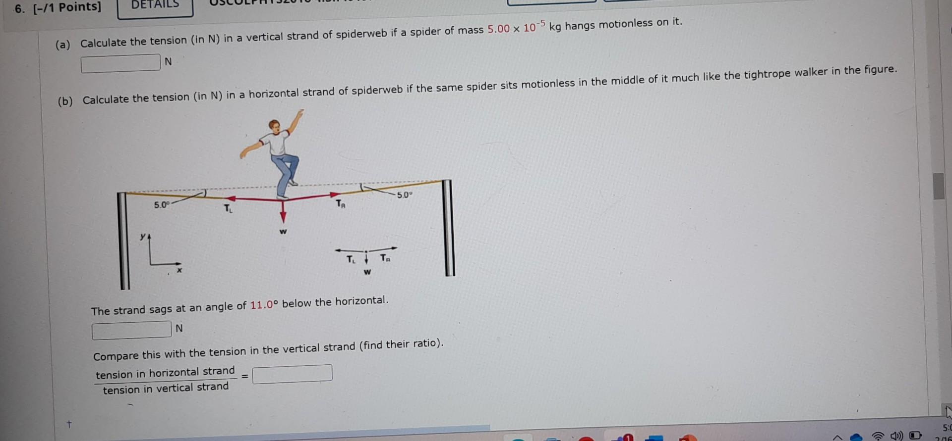 (a) Calculate the tension (in N) in a vertical strand of spiderweb if a spider of mass \( 5.00 \times 10^{-5} \mathrm{~kg} \)