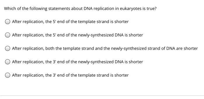 Which Of The Following Statements About Dna Replication Is True