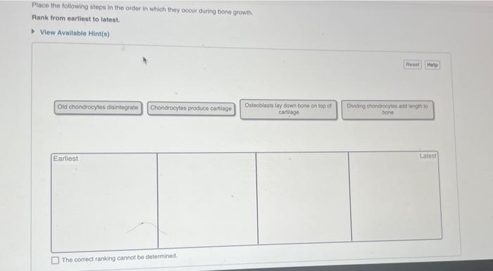 Solved Place the following stepe in the order in which they | Chegg.com