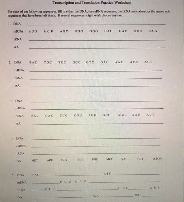 Solved Transcription And Translation Practice Worksheet F Chegg Com After finishing these tests, you will see what mistakes you have made. transcription and translation practice