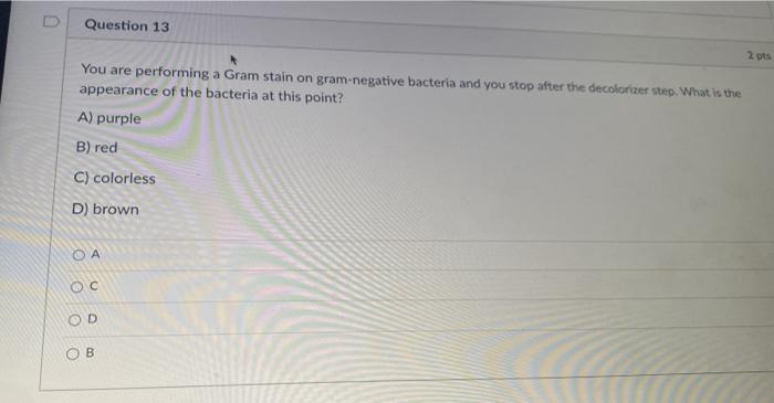 Solved Question 13 2 You are performing a Gram stain on | Chegg.com