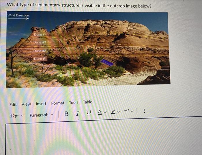 Solved What type of sedimentary structure is shown in the | Chegg.com