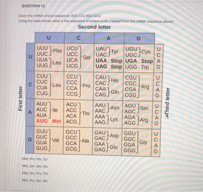 Solved Асс UUG AGA UUA AGG AGU GCA CGA CCA UCA ACA GUA GCC