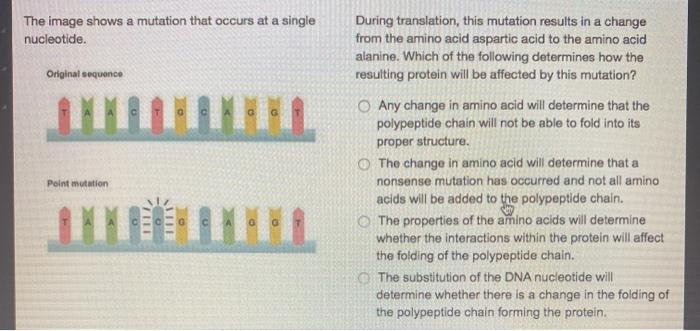 Solved The image shows a mutation that occurs at a single | Chegg.com