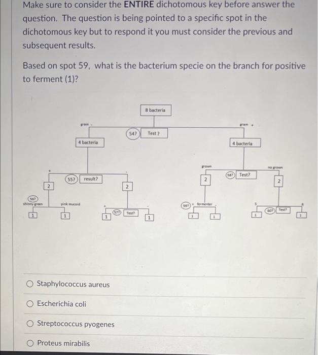 Solved Make sure to consider the ENTIRE dichotomous key | Chegg.com