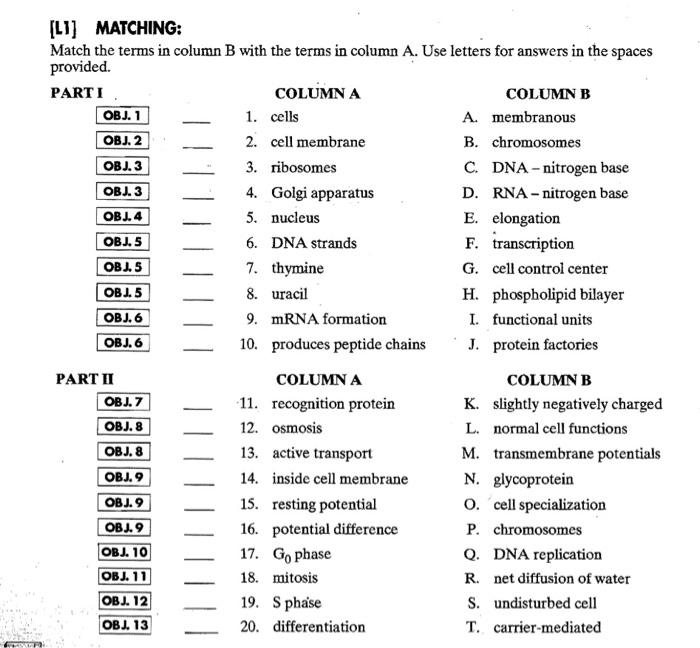 Solved [LI] MATCHING: Match the terms in column B with the | Chegg.com