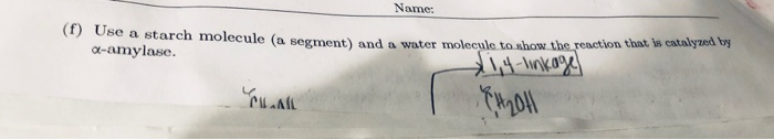 Solved Name: (f) Use a starch molecule (a segment) and a | Chegg.com