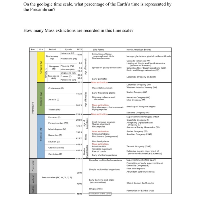 Solved On the geologic time scale, what percentage of the | Chegg.com