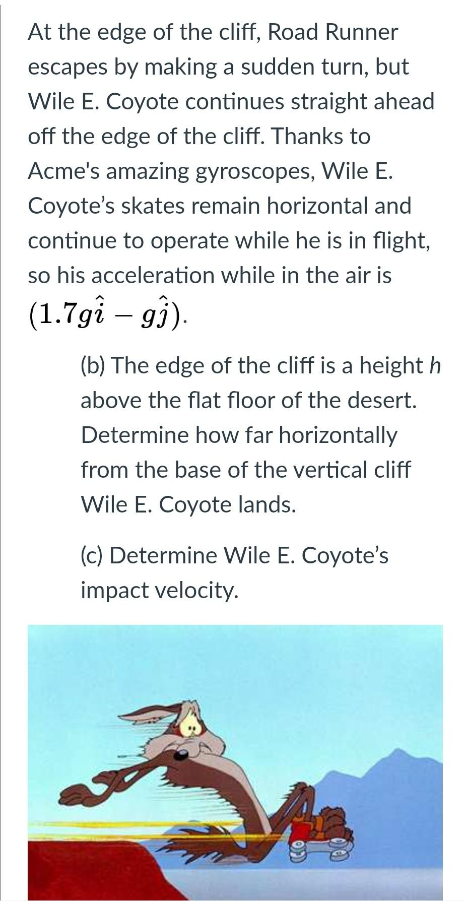 Wile E Coyote And Roadrunner Cliff