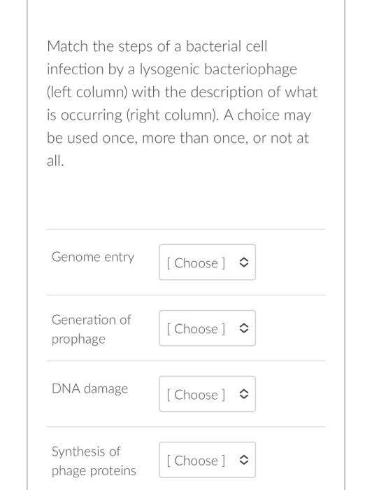 Solved Match the steps of a bacterial cell infection by a | Chegg.com