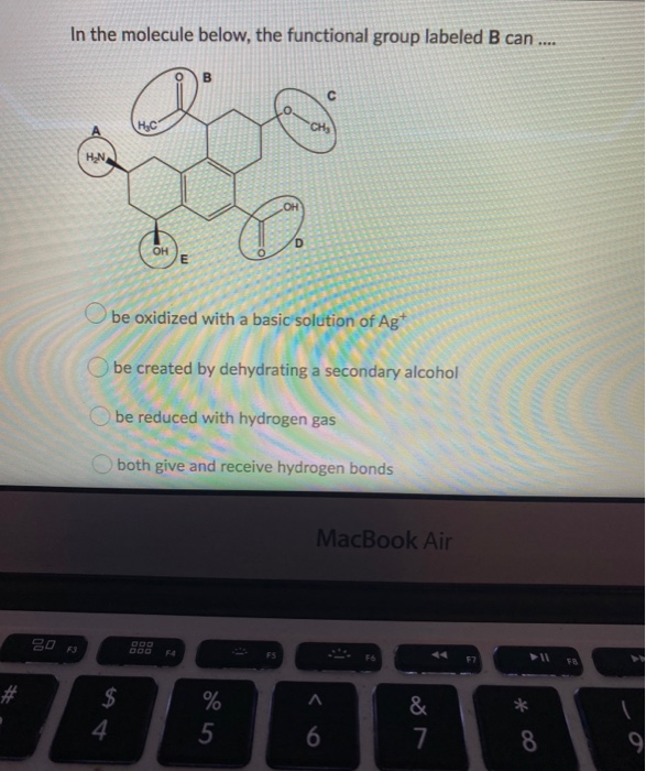 Solved In The Molecule Below, The Functional Group Labeled B | Chegg.com