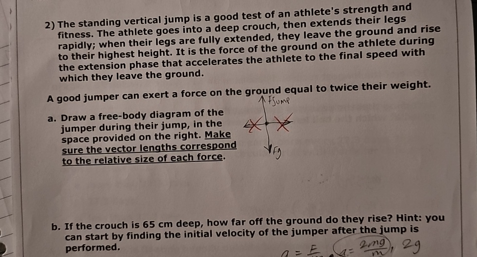 Solved The standing vertical jump is a good test of an | Chegg.com