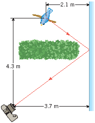 Solved You are trying to photograph a bird sitting on a tree | Chegg.com